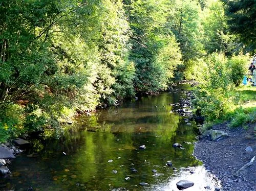 waldcamping-perlenau-monschau-48teh