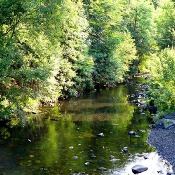 waldcamping-perlenau-monschau-48teh