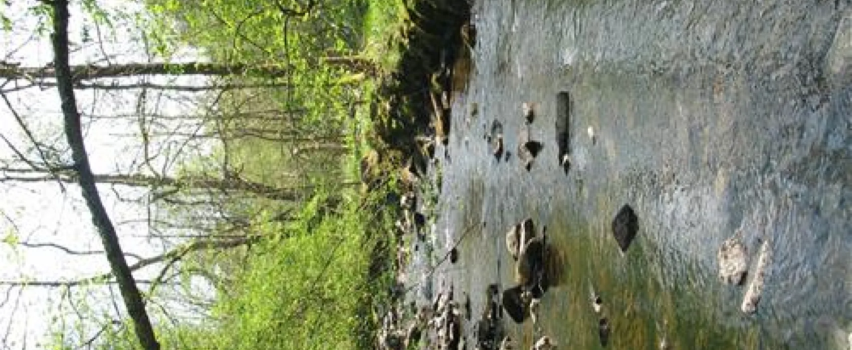 Waldcamping Perlenau