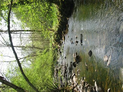 waldcamping-perlenau-monschau-ko0ua