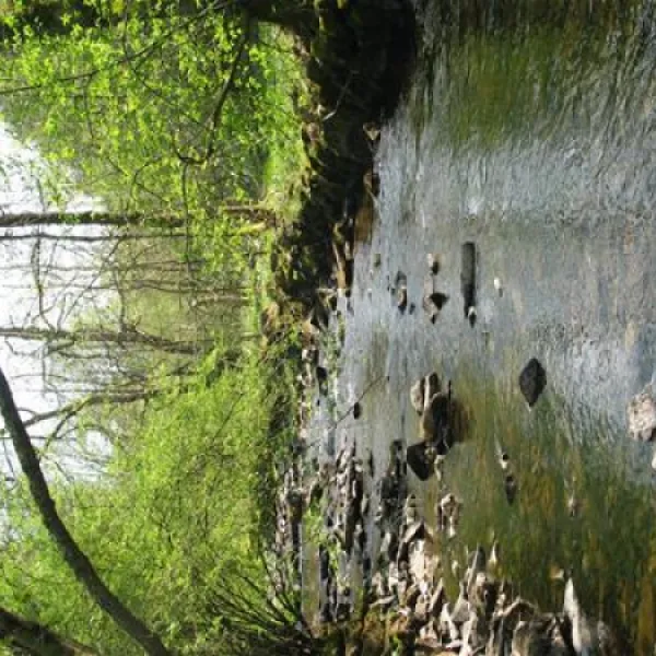 waldcamping-perlenau-monschau-ko0ua