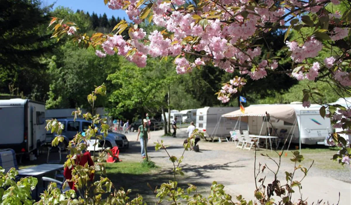 waldcamping-perlenau-monschau-zylzi