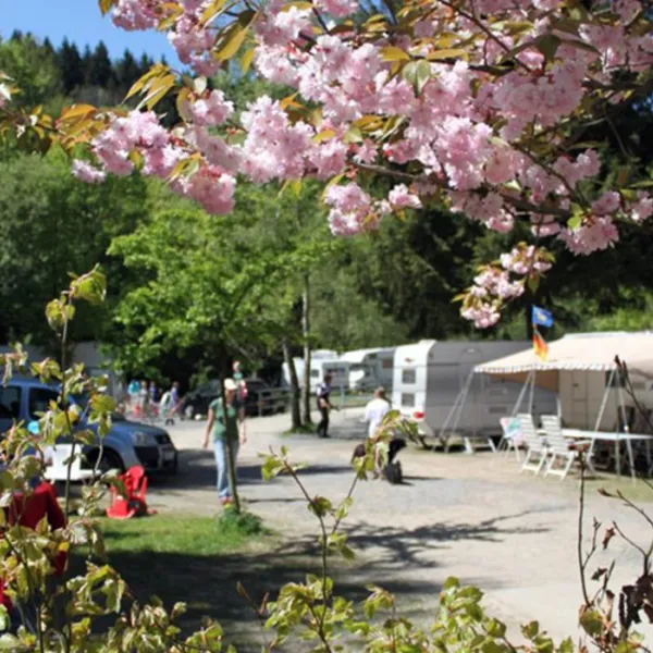 waldcamping-perlenau-monschau-zylzi