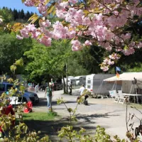 waldcamping-perlenau-monschau-zylzi