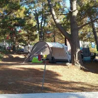 camping-le-sud-pietrosella-3bnex