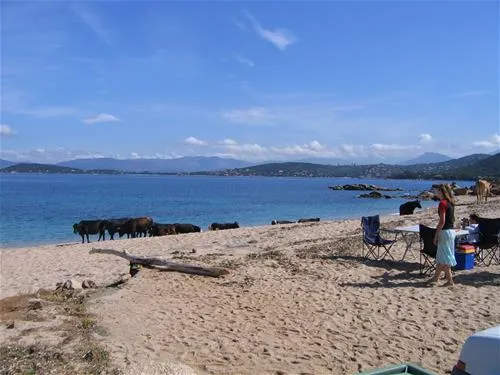camping-le-sud-pietrosella-lozu4