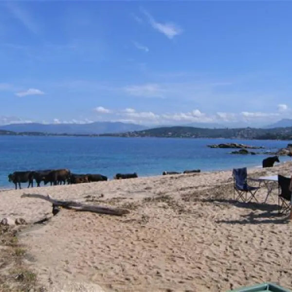 camping-le-sud-pietrosella-lozu4