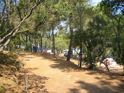camping-le-sud-pietrosella-wjad4