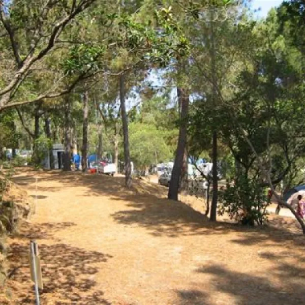 camping-le-sud-pietrosella-wjad4