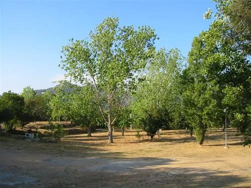 camping-le-sud-pietrosella-y2llh