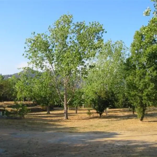 camping-le-sud-pietrosella-y2llh