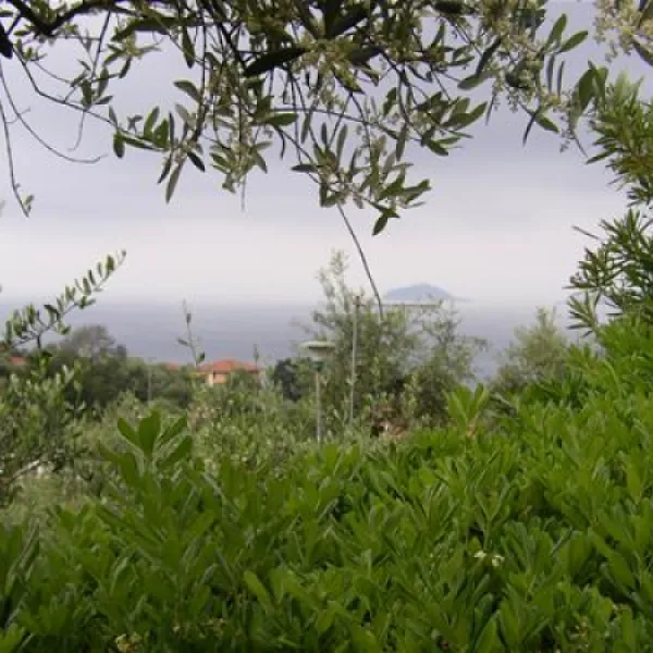 camping-gianna-tellaro-u1cpg