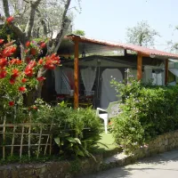 camping-gianna-tellaro-uu0pt