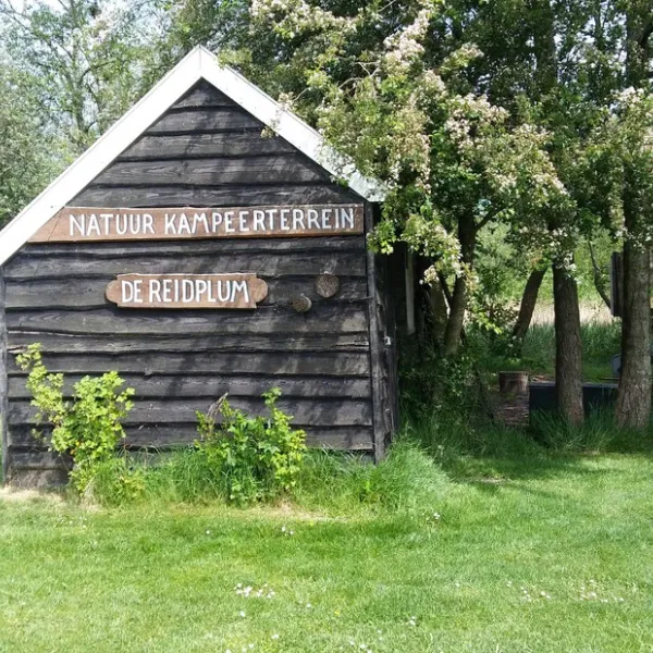 natuurkampeerterrein-de-reidplum-eernewoude-earnewald-juhst
