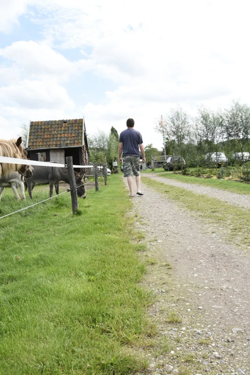 minicamping-de-reekens-heusden-bij-den-bosch-ulqmx