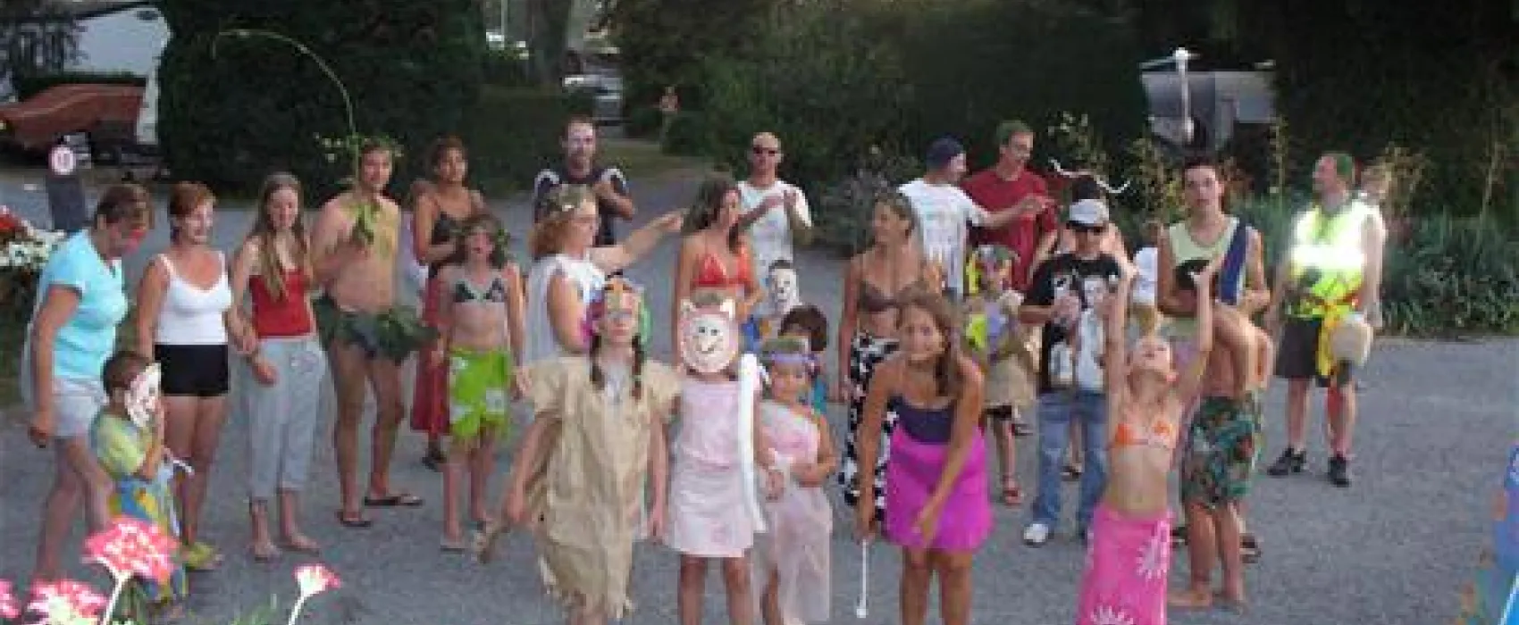 Parc Camping Les Acacias  