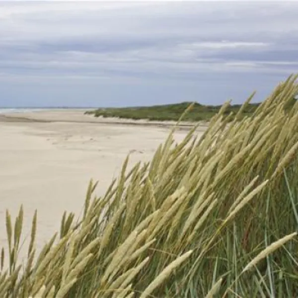 skiveren-camping-lbk-quyq9