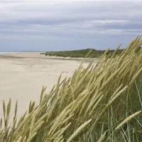 skiveren-camping-lbk-quyq9