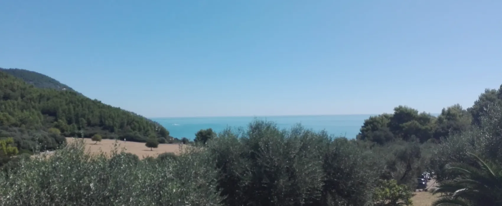 Camping Vignanotica