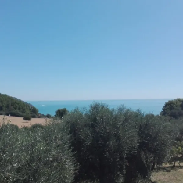 camping-vignanotica-foggia-nvzjz