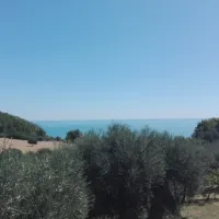 Camping Vignanotica