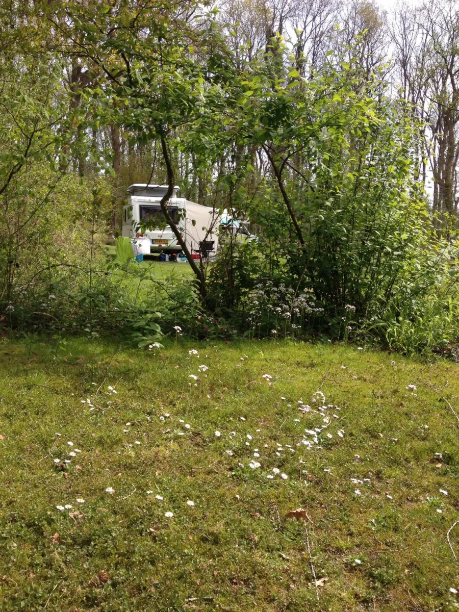 camping-zwanemeer-gieten-khoew