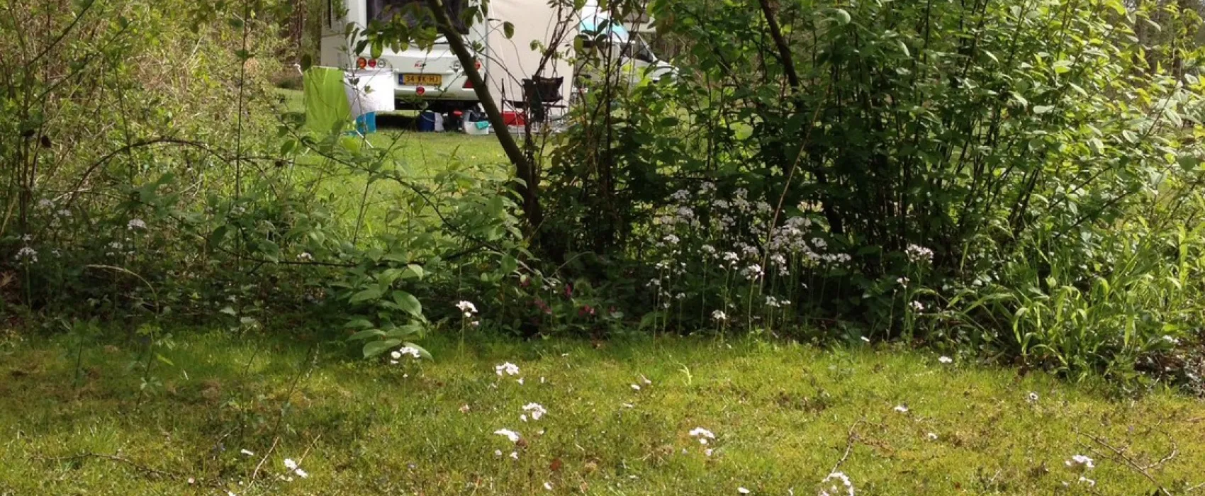 Camping Zwanemeer