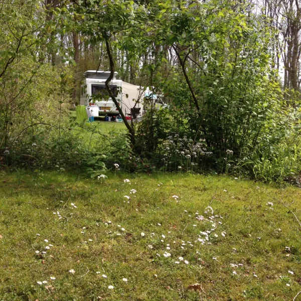 camping-zwanemeer-gieten-rcyxq