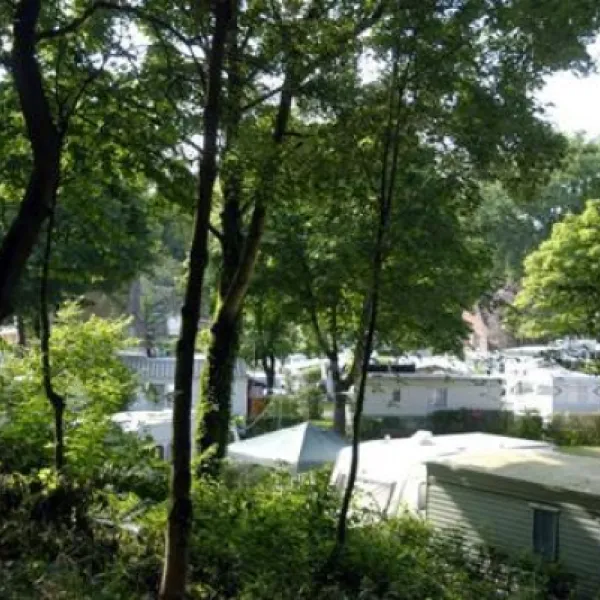 Camping Mont Des Bruyeres