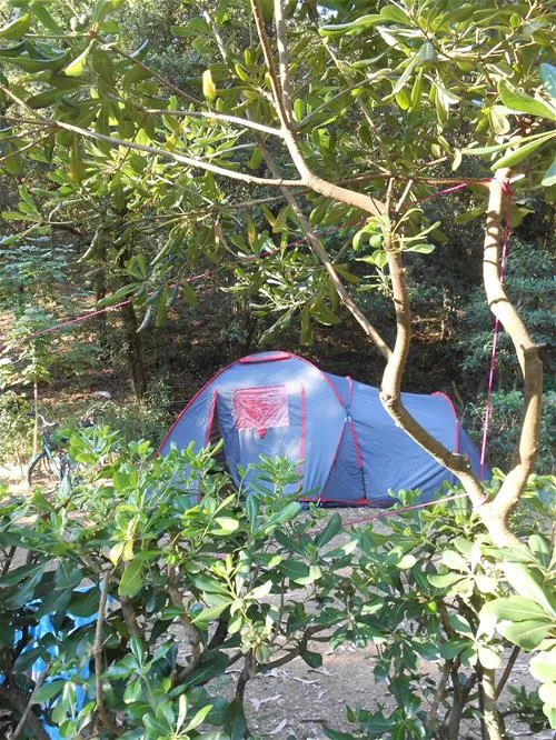 elbadoc-campingvillage-rio-marina-be5rn