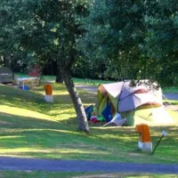 camping-les-chanterelles-saintrmysurdurolle-2otst
