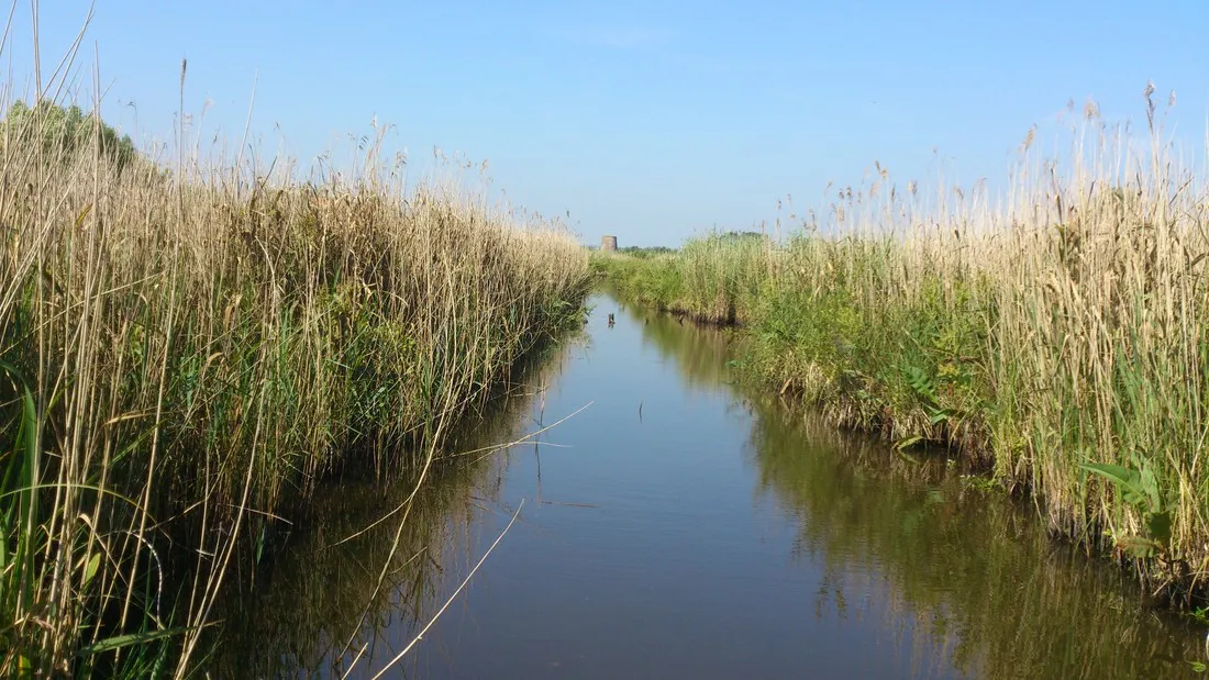 camping-le-clair-marais-clairmarais-18txu