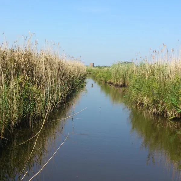 camping-le-clair-marais-clairmarais-18txu