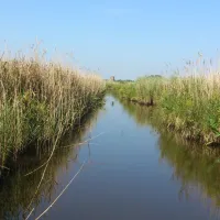 camping-le-clair-marais-clairmarais-18txu