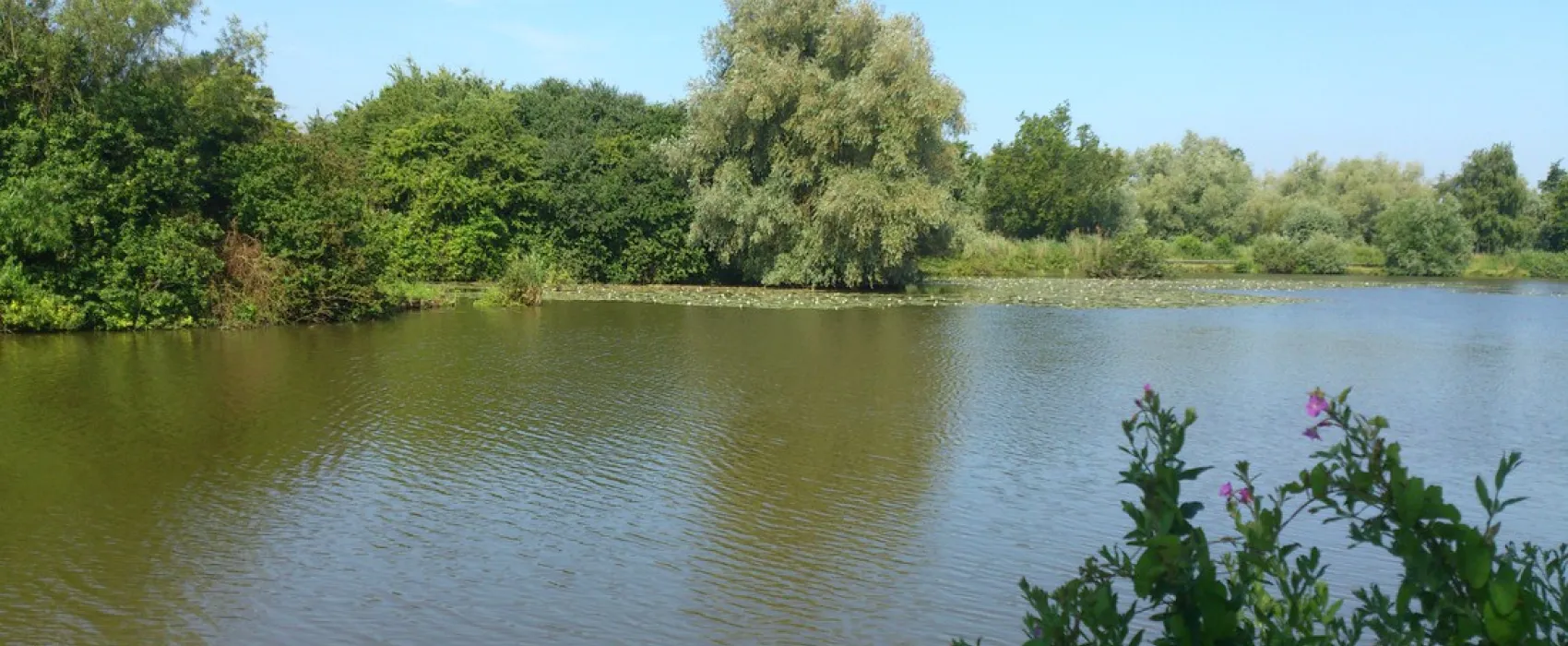 Camping Le Clair Marais