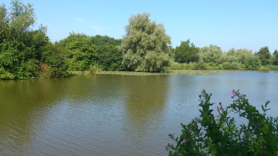 camping-le-clair-marais-clairmarais-eyr80