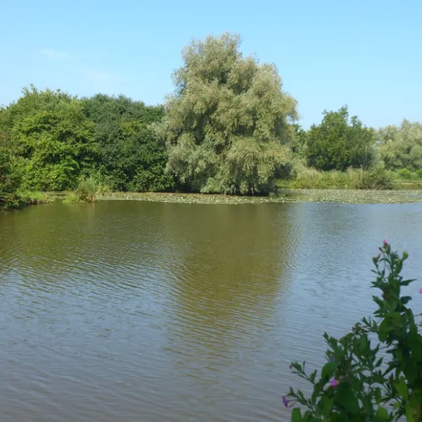camping-le-clair-marais-clairmarais-eyr80
