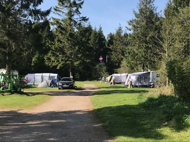 forest-glade-holiday-park-cullompton-mgqrl