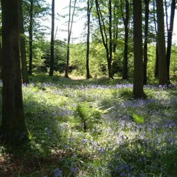 forest-glade-holiday-park-cullompton-njdp2