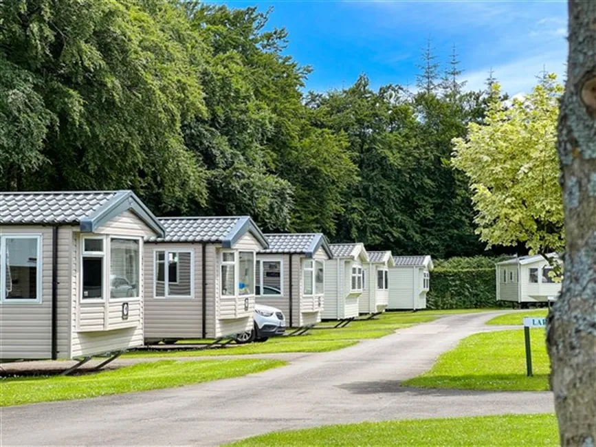 forest-glade-holiday-park-cullompton-tihrt
