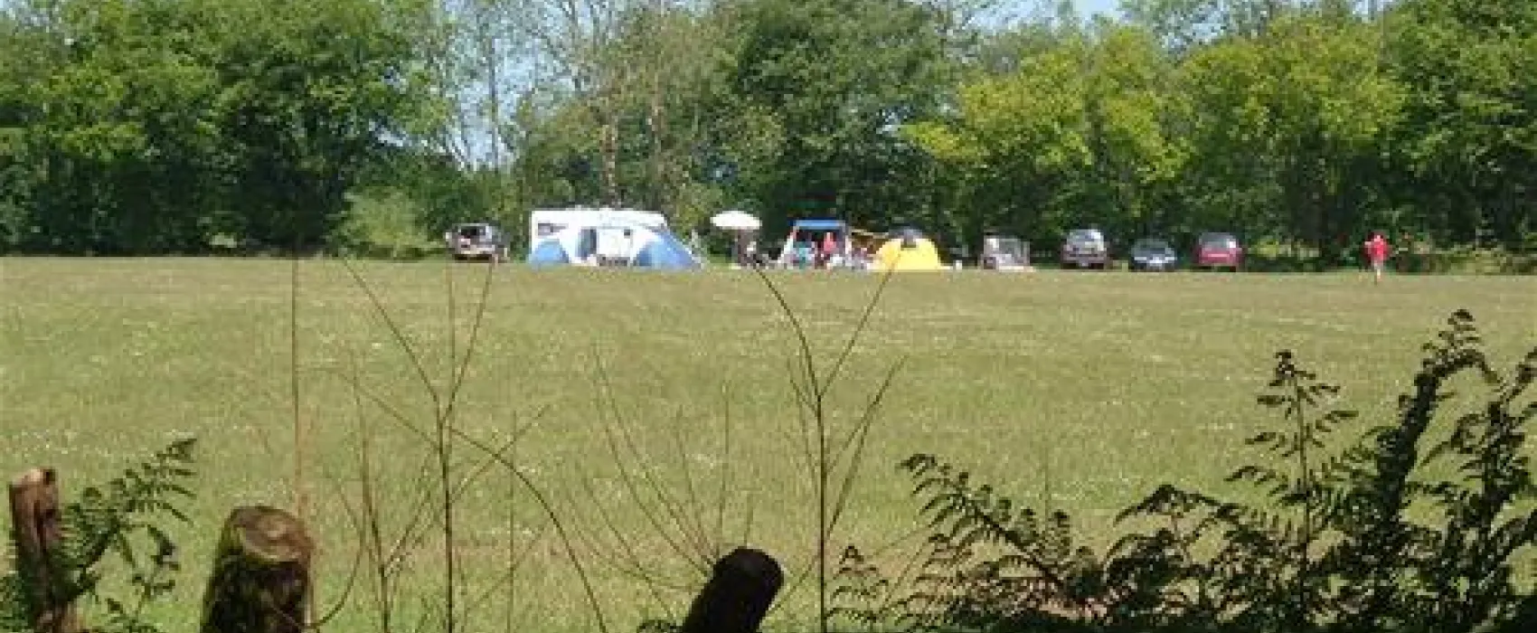 Forest Glade Holiday Park