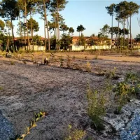 yelloh-village-au-lac-de-biscarrosse-parentis-en-born-cbglf