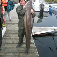 bud-camping-bud-naife