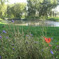 Camping La Ferme de Mayocq  