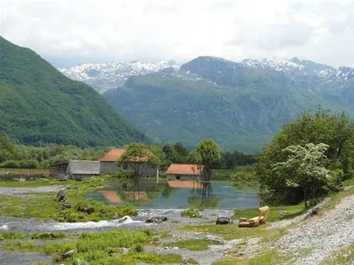 camping-krojet-gusinje-nu12g