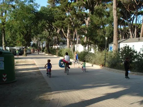 camping-village-park-albatros-san-vincenzo-0gtes