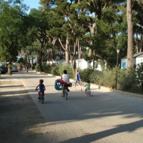 camping-village-park-albatros-san-vincenzo-0gtes