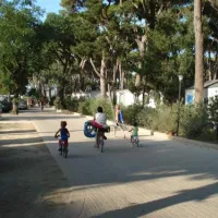 camping-village-park-albatros-san-vincenzo-0gtes