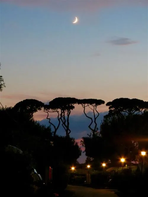 camping-village-park-albatros-san-vincenzo-1nmal