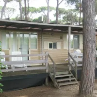 camping-village-park-albatros-san-vincenzo-2ya4p